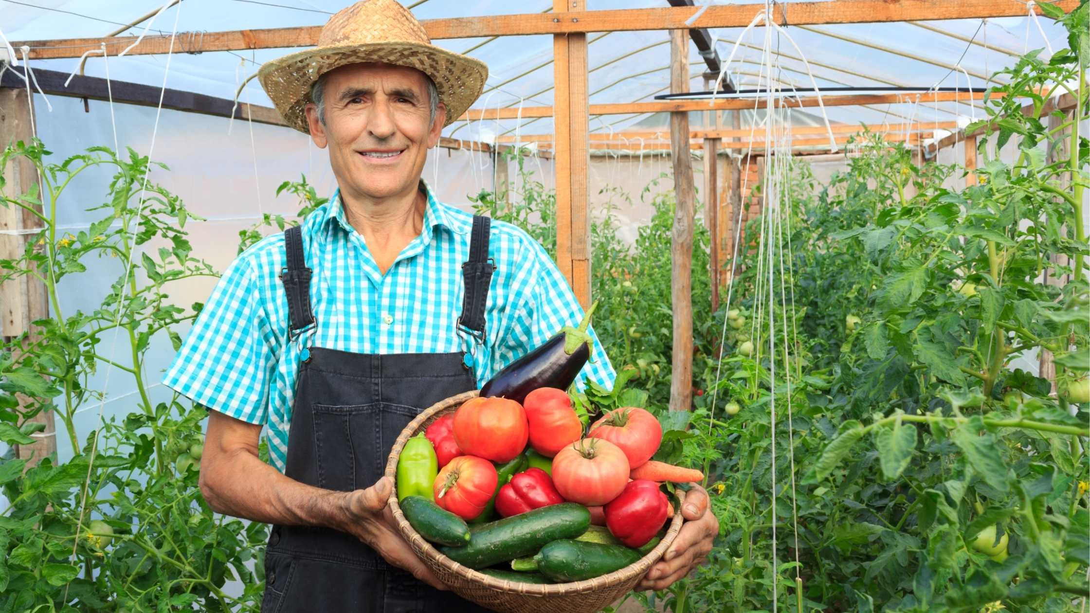 Ancestry on Your Plate - Discovering Culinary Roots
